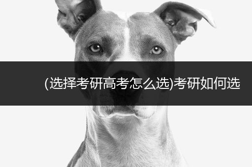 （选择考研高考怎么选)考研如何选