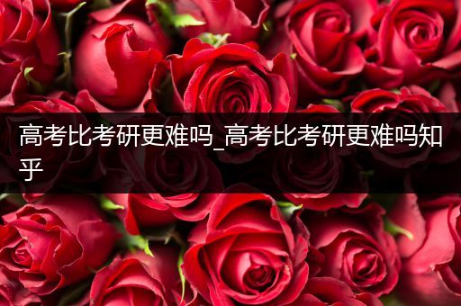 高考比考研更难吗_高考比考研更难吗知乎