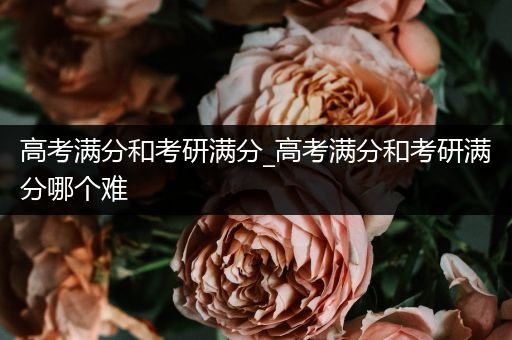 高考满分和考研满分_高考满分和考研满分哪个难