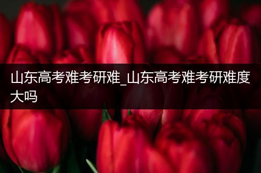山东高考难考研难_山东高考难考研难度大吗
