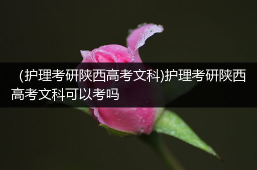 （护理考研陕西高考文科)护理考研陕西高考文科可以考吗