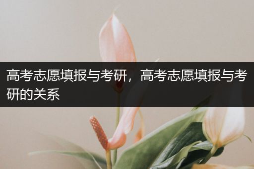 高考志愿填报与考研，高考志愿填报与考研的关系