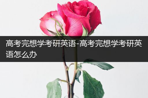 高考完想学考研英语-高考完想学考研英语怎么办