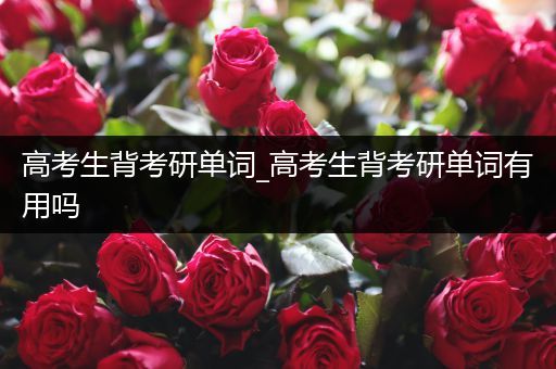 高考生背考研单词_高考生背考研单词有用吗