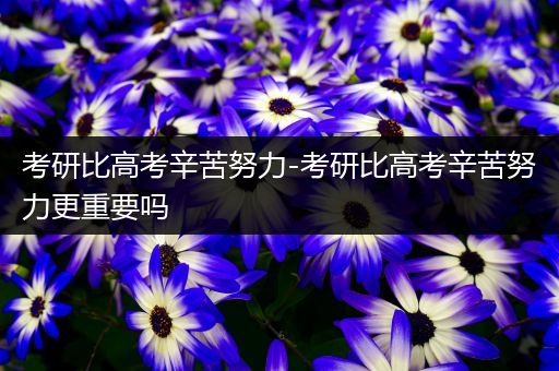 考研比高考辛苦努力-考研比高考辛苦努力更重要吗