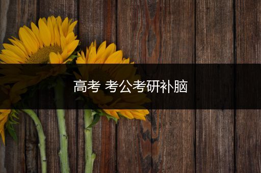 高考 考公考研补脑