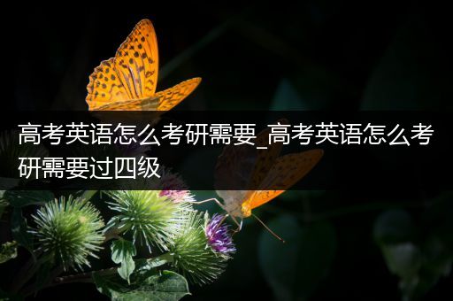 高考英语怎么考研需要_高考英语怎么考研需要过四级