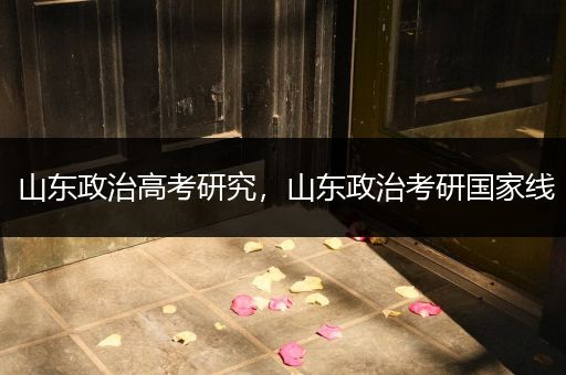 山东政治高考研究，山东政治考研国家线