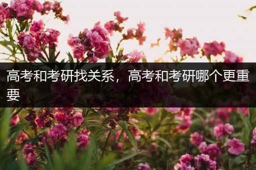 高考和考研找关系，高考和考研哪个更重要