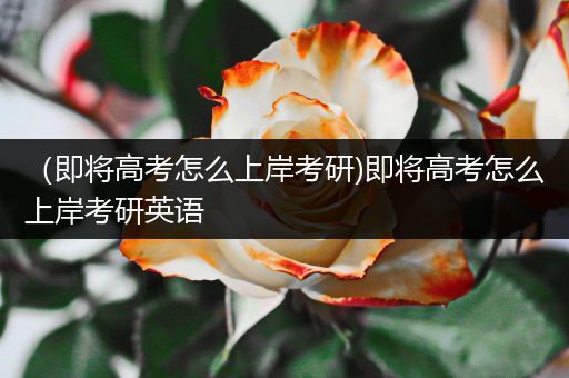 （即将高考怎么上岸考研)即将高考怎么上岸考研英语
