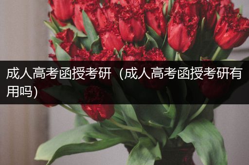 成人高考函授考研（成人高考函授考研有用吗）