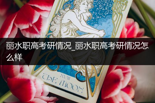 丽水职高考研情况_丽水职高考研情况怎么样