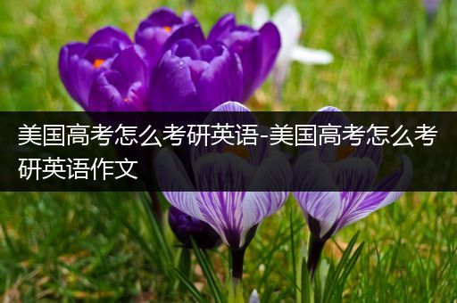 美国高考怎么考研英语-美国高考怎么考研英语作文