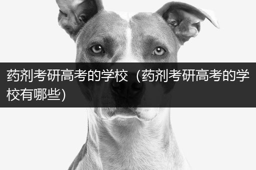 药剂考研高考的学校（药剂考研高考的学校有哪些）