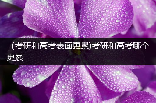 （考研和高考表面更累)考研和高考哪个更累