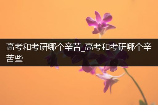 高考和考研哪个辛苦_高考和考研哪个辛苦些