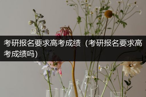 考研报名要求高考成绩（考研报名要求高考成绩吗）