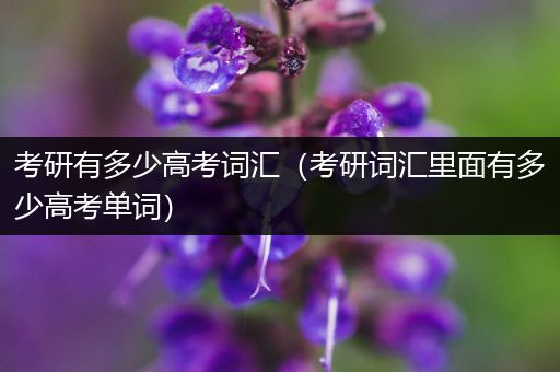 考研有多少高考词汇（考研词汇里面有多少高考单词）