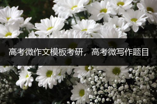 高考微作文模板考研，高考微写作题目
