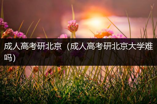 成人高考研北京（成人高考研北京大学难吗）
