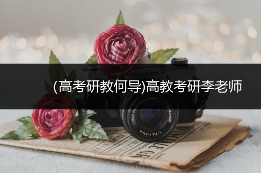 （高考研教何导)高教考研李老师