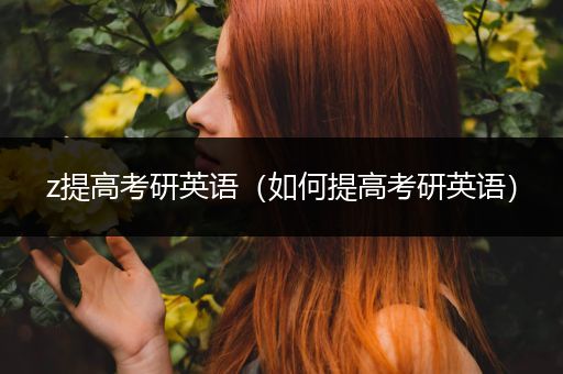 z提高考研英语（如何提高考研英语）