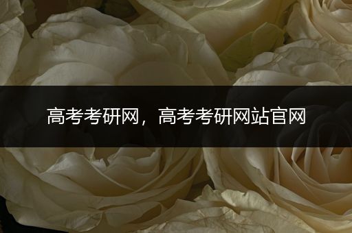 高考考研网，高考考研网站官网