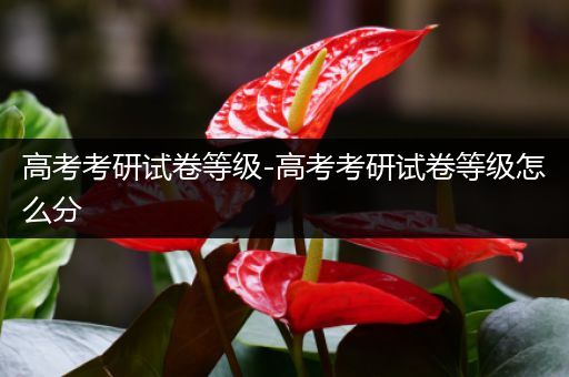 高考考研试卷等级-高考考研试卷等级怎么分