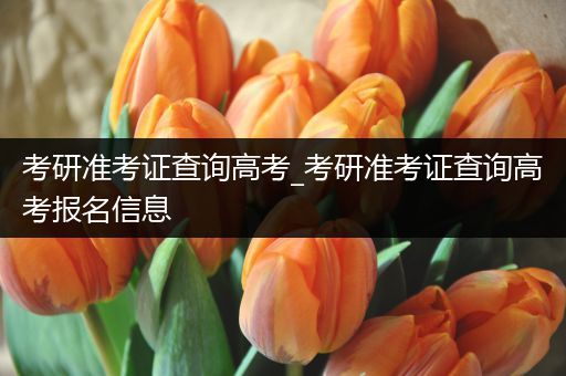 考研准考证查询高考_考研准考证查询高考报名信息