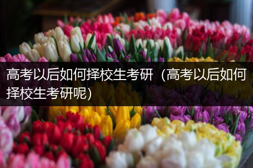 高考以后如何择校生考研（高考以后如何择校生考研呢）