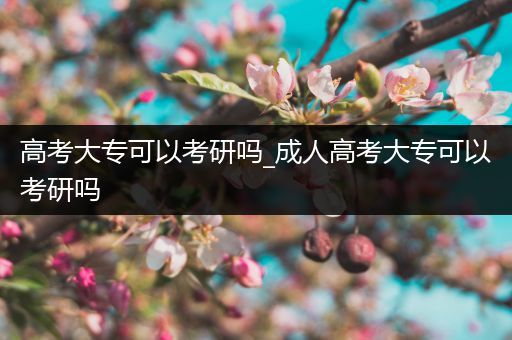 高考大专可以考研吗_成人高考大专可以考研吗