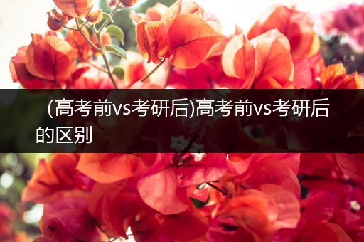（高考前vs考研后)高考前vs考研后的区别