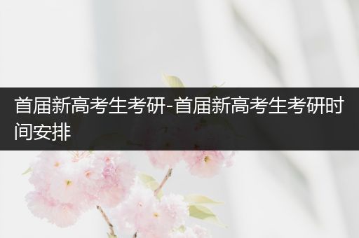首届新高考生考研-首届新高考生考研时间安排