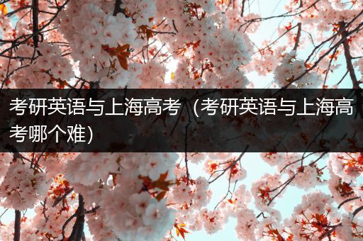 考研英语与上海高考（考研英语与上海高考哪个难）