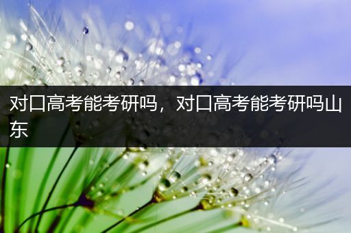 对口高考能考研吗，对口高考能考研吗山东