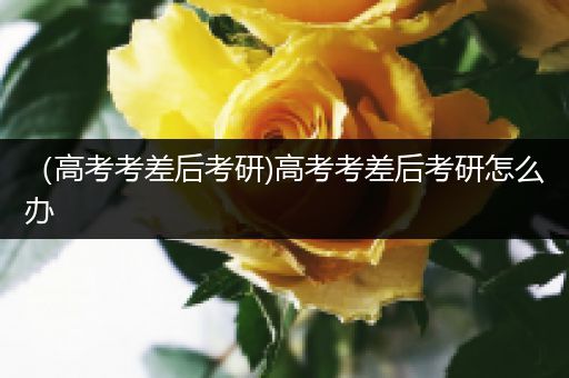 （高考考差后考研)高考考差后考研怎么办