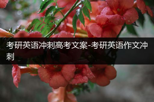 考研英语冲刺高考文案-考研英语作文冲刺