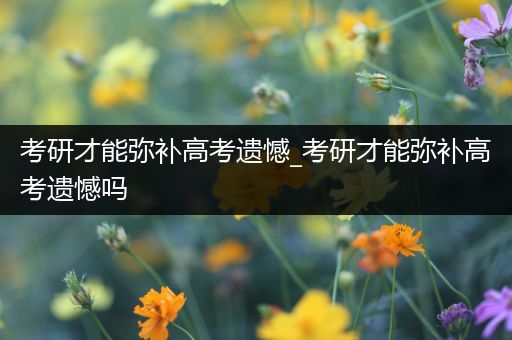 考研才能弥补高考遗憾_考研才能弥补高考遗憾吗