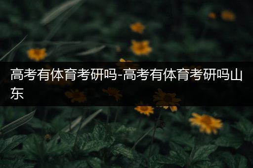高考有体育考研吗-高考有体育考研吗山东