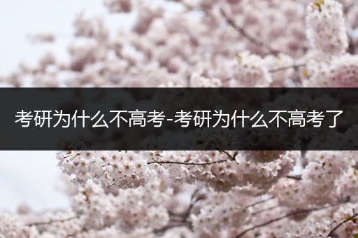 考研为什么不高考-考研为什么不高考了