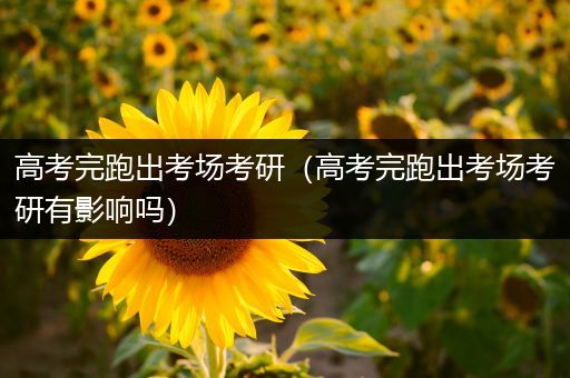 高考完跑出考场考研（高考完跑出考场考研有影响吗）