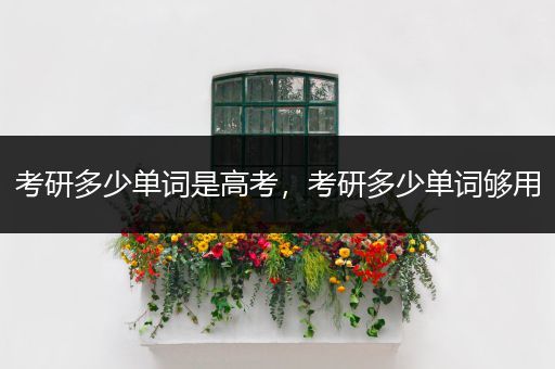 考研多少单词是高考，考研多少单词够用