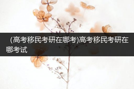 （高考移民考研在哪考)高考移民考研在哪考试