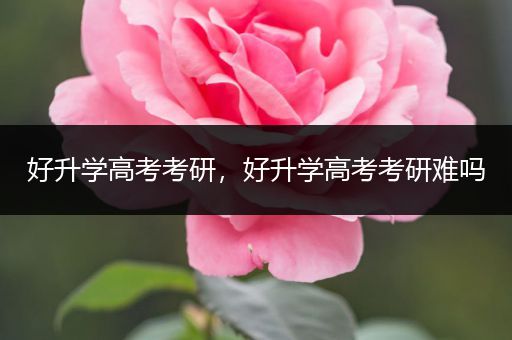 好升学高考考研，好升学高考考研难吗