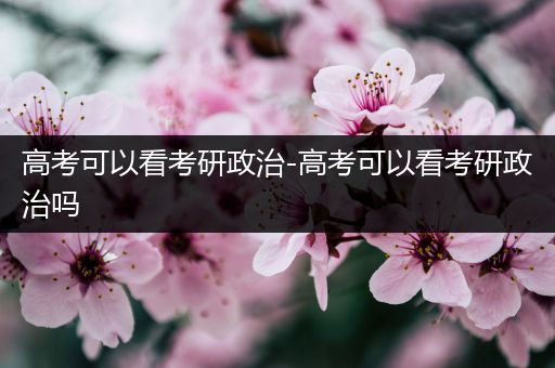 高考可以看考研政治-高考可以看考研政治吗