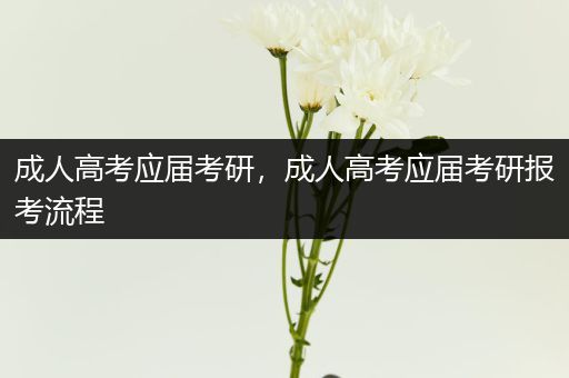 成人高考应届考研，成人高考应届考研报考流程