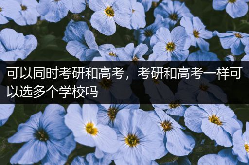 可以同时考研和高考，考研和高考一样可以选多个学校吗