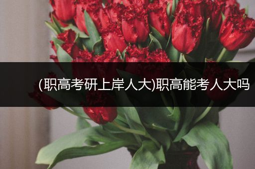 （职高考研上岸人大)职高能考人大吗
