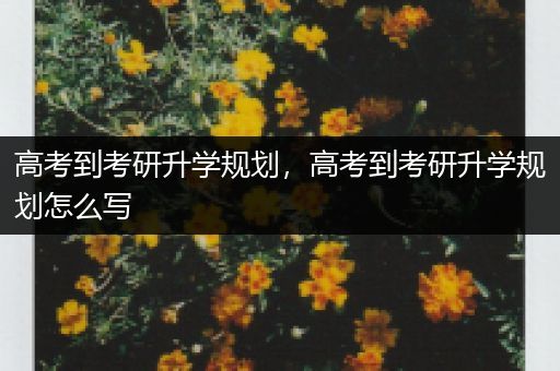 高考到考研升学规划，高考到考研升学规划怎么写