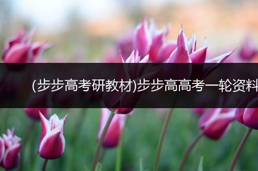 （步步高考研教材)步步高高考一轮资料